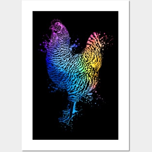 Colorful drawing of an plymouth rock chicken Posters and Art